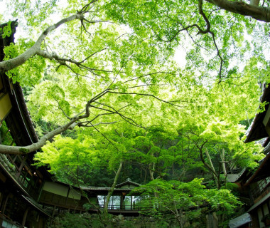明治の森箕面 音羽山荘