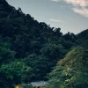明治の森箕面 音羽山荘