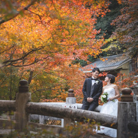 【箕面の秋】ベストシーズンウェディング相談会※早期お申込み特典あり