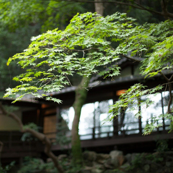 箕面市の和風結婚式ができる結婚式場 口コミ人気の1選 ウエディングパーク