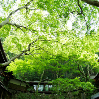 【森の結婚式】豊かな自然に囲まれた音羽山荘の相談会