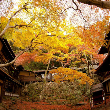 明治の森箕面 音羽山荘