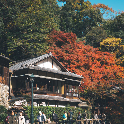 明治の森箕面 音羽山荘