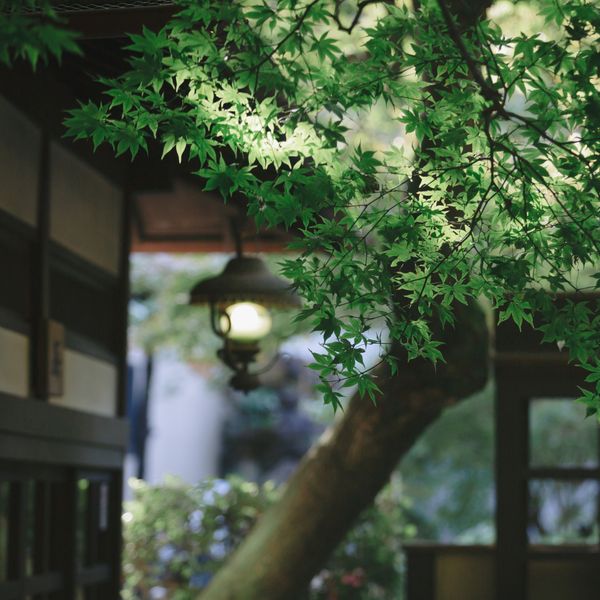 .|明治の森箕面 音羽山荘の写真(26770306)
