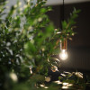 明治の森箕面 音羽山荘