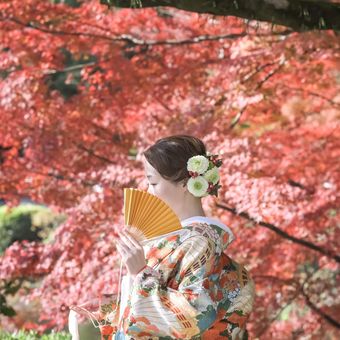 紅葉の木の下で。