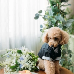 集まれペット婚！ペット用のケーキや衣裳も充実！ペットにも嬉しい、お二人らしい結婚式|ザ・リュクス銀座(THE LUXE GINZA）の写真(29620971)