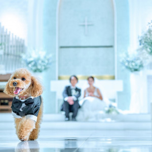 可愛いペットとの結婚式。リングドックでゲストも思わず笑顔に！|ザ・リュクス銀座(THE LUXE GINZA）の写真(29699978)
