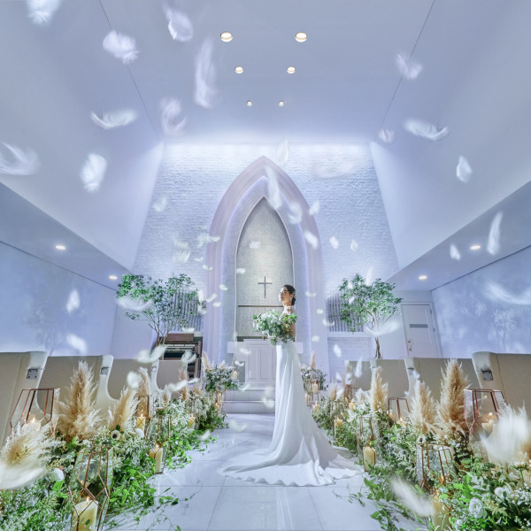 銀座 新橋で人気の結婚式 結婚式場を探す ウエディングパーク