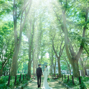 アクセスも◎杜の都を象徴する“定禅寺通り”で叶える貸切W|GRAN SUITE(グラン スイート)/FIVESTAR WEDDINGの写真(54353594)