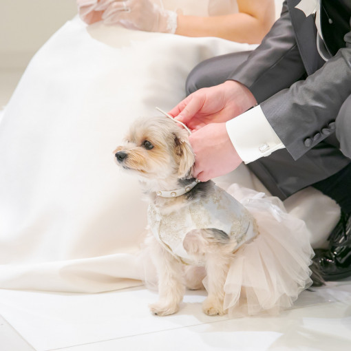 GRAN SUITE（グラン スイート）/FIVESTAR WEDDING