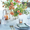 GRAN SUITE（グラン スイート）/FIVESTAR WEDDING