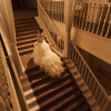 GRAN SUITE（グラン スイート）/FIVESTAR WEDDING