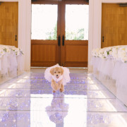 「最高の一日」～Wonderful Wedding～
