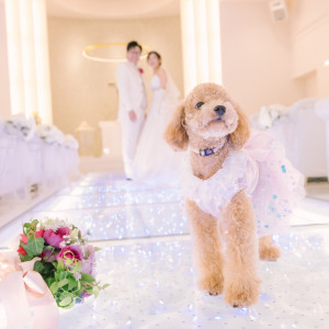 愛犬と一緒の結婚式なら゛愛犬がいるからこそ”叶う可愛らしい演出を取り入れてみては|「最高の一日」～Wonderful Wedding～の写真(27102337)