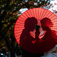 「最高の一日」～Wonderful Wedding～