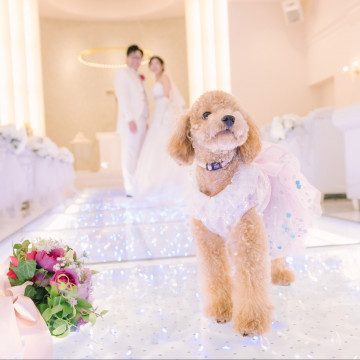 「最高の一日」～Wonderful Wedding～