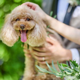 ペットとのご来館も歓迎*当日も無料でご参加いただけます♪