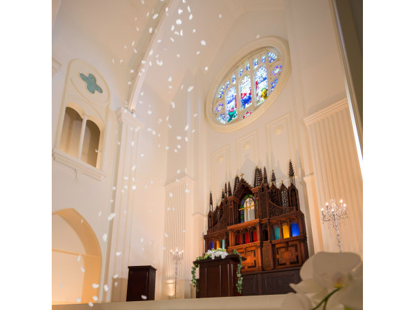 ララシャンスベルアミー 盛岡