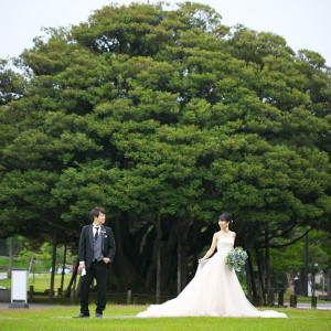 しいのき迎賓館の正面に佇む、樹齢300年の国指定天然記念物「堂形のしいのき」がおふたりの大切な一日を見守ります|ジャルダン ポール・ボキューズ（しいのき迎賓館内）の写真(6572381)