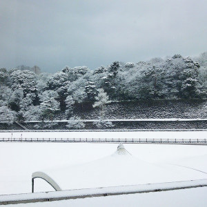 雪景色も金沢らしい情緒が漂う|ジャルダン ポール・ボキューズ（しいのき迎賓館内）の写真(6574166)