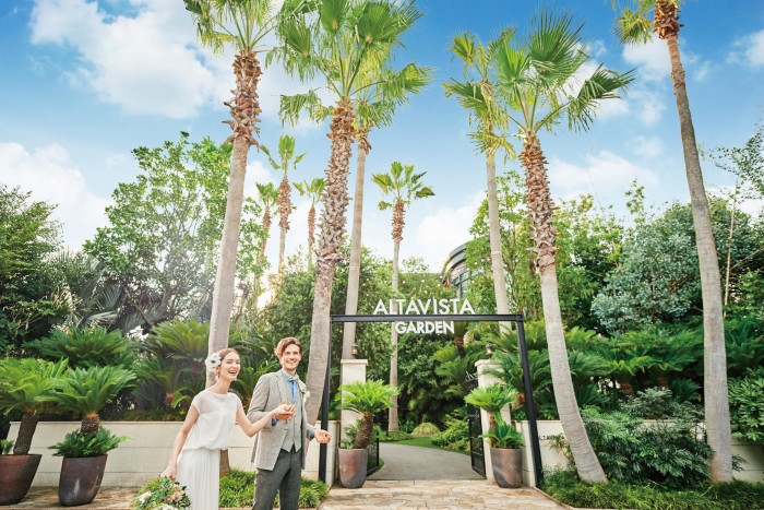 抜ける青空と揺らめくヤシを背景に