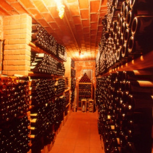 ミラノ本店のワインセラー|アンティカ・オステリア・デル・ポンテの写真(419760)