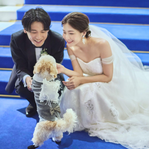 ペット用のタキシード＆ドレス