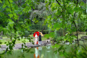 東郷神社・ルアール東郷