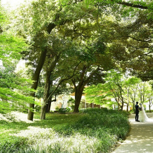 都会の真ん中でリゾート地にいるようなフォトジェニックな空間|東郷神社・ルアール東郷の写真(5560782)