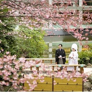 和と洋の婚礼体験【最大100万円】神殿内覧&和牛ロースの3品美食