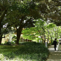 東郷神社・ルアール東郷