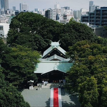 自然溢れる都心の神社|東郷神社・ルアール東郷の写真(10774821)