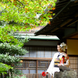 四季折々を感じられるのも魅力。若葉・深緑・紅葉などどれも楽しめる。