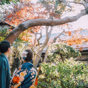 上を見上げれば色づく木々たち。前撮りで当日に思いを馳せながら。結婚式後に当日の余韻に浸りながら。様々なシーンでお楽しみください。|HATSUNEYA GARDEN ～since1868 Kawagoe～（ハツネヤ ガーデン）の写真(14510917)