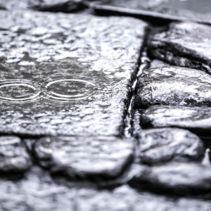 雨音を綴る【石畳】|HATSUNEYA GARDEN ～since1868 Kawagoe～（ハツネヤ ガーデン）の写真(1721565)