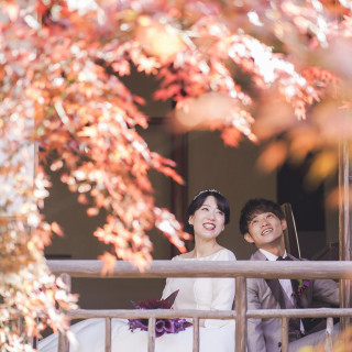 紅葉が赤く彩る“紅葉”シーズン。