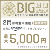 【2月限定BIGフェア】全員もらえる！Amazonギフト最大5,000円付（2月毎週末開催）