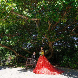 自然に囲まれた2人の様子/自然と鮮やかなドレスの美しいコントラスト|モントレ・ルメール教会（ホテルモントレ沖縄スパ＆リゾート）チュチュリゾートウエディングの写真(19854417)