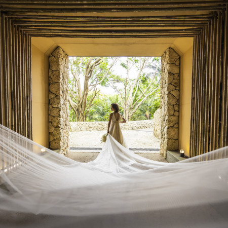 ベールショット