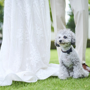 ペットと一緒の結婚式も|ヴィクトリアガーデン恵比寿迎賓館/テイクアンドギヴ・ニーズウェディングの写真(27115993)