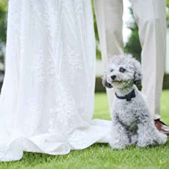 家族のペットも参加できるのは貸切結婚式ならではの魅力