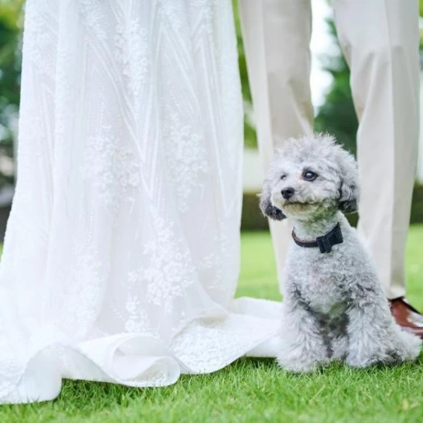 愛犬とのフォトやリングドッグの大役もお願いして感動の結婚式を。