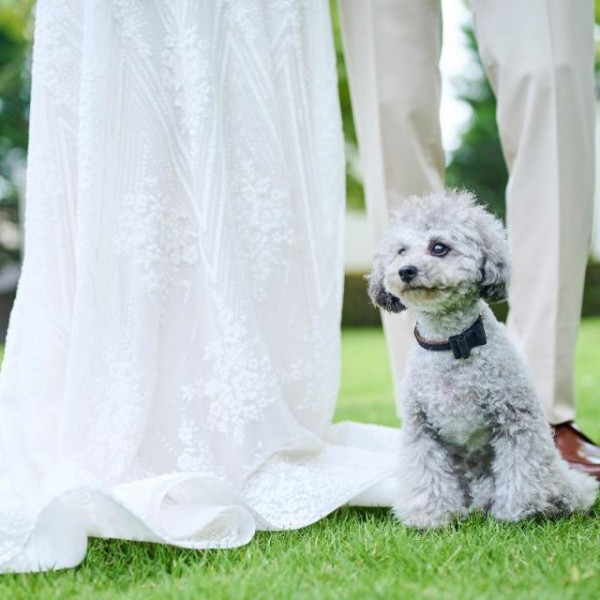 愛犬とのフォトやリングドッグの大役もお願いして感動の結婚式を。