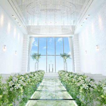 アルマリアン 福岡（ALMALIEN FUKUOKA）