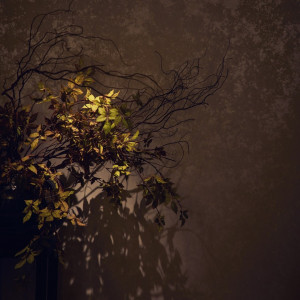 細部にもこだわったインテリアの数々|YOKOHAMA MONOLITH ～横浜モノリス～の写真(54522885)