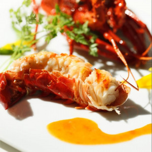 ＼週末BIG☆ギフト券5千円＆最大84万円特典／森の教会×2万試食