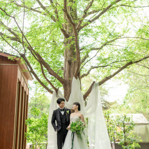 メタセコイアの木がふたりの代わりにお出迎え|鶴見ノ森 迎賓館の写真(52587560)