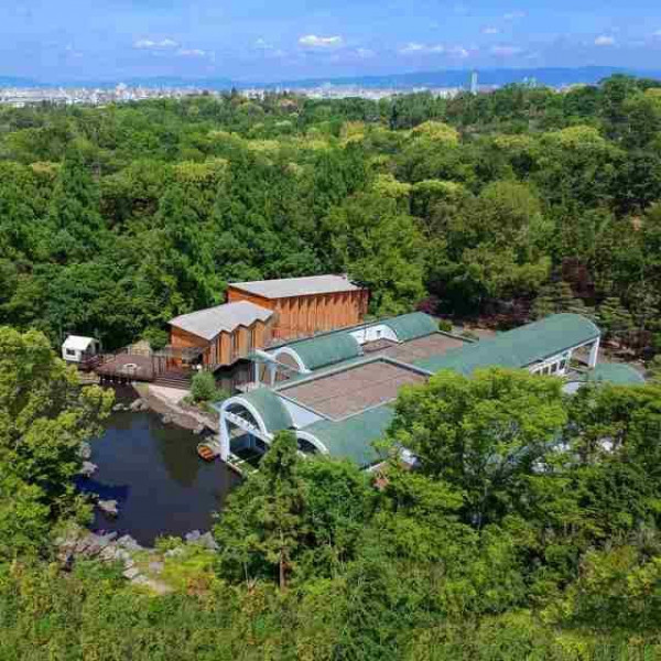 平日限定！最大84万円相当ご優待プラン