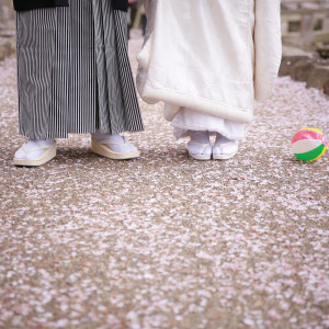 春の前撮りは桜の見頃が人気。菊水楼の目の前にある荒池にはたくさんのソメイヨシノと枝垂れ桜が花を咲かせます|ザ キクスイロウ ナラパーク（菊水楼）の写真(2264814)